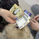 진주수진정원 이미지