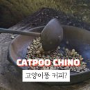캣푸치노 이미지