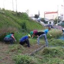 온양2동 중앙로 이미지