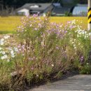 도천3길 이미지