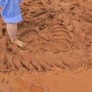 의료법인 사랑나무재단 이미지