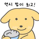 원조조방낙지인동점 이미지