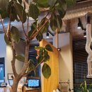 현대자동차부발점 이미지