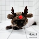 고양이 목욕탕 이미지