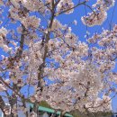 (주)비손 이미지