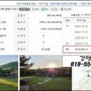 임고면-금대리-3