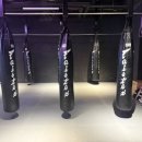 하트레이트 강남 이미지