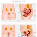 네이처비뇨의학과의원 이미지