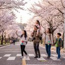 천안아산역 관광안내소 | 🌸아산 가족 여행 : 곡교천 봄 벚꽃길 외암민속마을