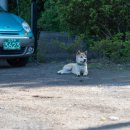 표선 휴 이미지