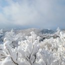 지리산밸리매점