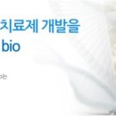 에스엠티(SMT) 대한