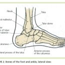 발목 염좌(Ankle Sprains) Ⅰ 이미지