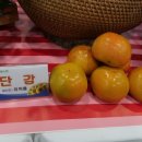 창원단감생산자협동조합