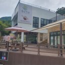 숲엔커피