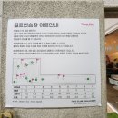 티욤 어프로치 네이버블로그
