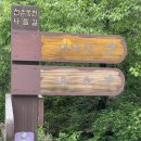 [BAC 명산 100] 문경 대야산, 피아골 최단코스 등산 후기