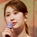 나무와 새 이미지