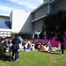 가족뮤지컬<어린이 캣프렌즈> 이미지