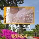 하늘천사(Sky1004) 이미지