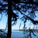 시애틀 이웃도시 타코마에 Point Defiance Park. 이미지