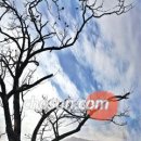 (주)남원