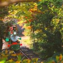 설성파크 이미지