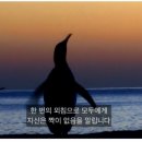 요정언니