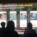 바이널주