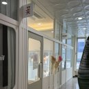 선물출구 제이씨공원점 | 화성 새솔동 꽃집 추천 색감이 예쁜 꽃다발 선물 24시간 구매 가능한 꽃블리화성새솔동점 후기