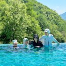 (주)포레스트 카라반 파크 | 제천 포레스트 리솜 스파 덕산 스플라스 리솜 워터파크