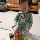 동물왕국 | 큐비맥 타일즈 자석블럭 동물왕국 세트 후기 | 쌍둥이 아빠의 찐 솔직 리뷰 (feat. 장단점 총정리)