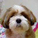 천동초등학교 후문 이미지