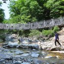 계곡속의동화 이미지