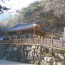 황석산장식당 Daum카페
