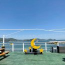 메르베르스파애견펜션 이미지