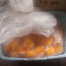 (주)제주정투어