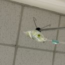 한마음외과의원 이미지