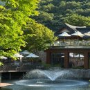 경기 광주 화담숲 🌿 (여름꿀팁 / 모노레일 순환권) 내돈내산
