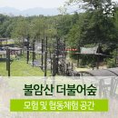 불암산더불어숲 이미지