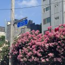 GS25 연남공원 이미지