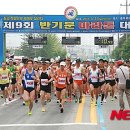 선관위 소나무 이미지