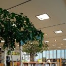 북카페 청마루 이미지