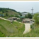 매산1동 Daum카페