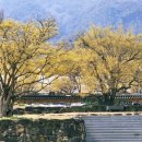 달전시목지 이미지