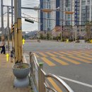 웅천초등학교 앞 이미지