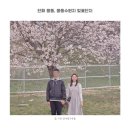 웅동마을 | 창원 벚꽃명소 웅동수원지 벚꽃단지 봄꽃 힐링스팟