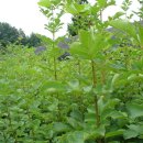 전의우체국 이미지