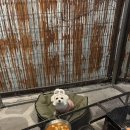 반스힐리조트 - 5876 | 반스힐리조트