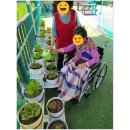 세종우리요양원 | 논산요양원 기쁨의집요양원 방문 체험기 어르신 돌봄 고민 해결